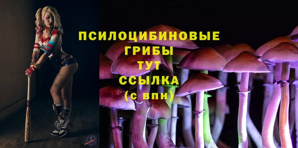 Альфа ПВП Баксан