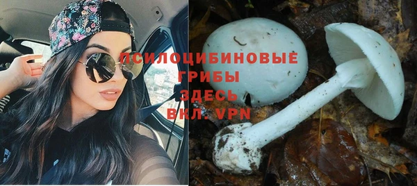 стафф Балабаново