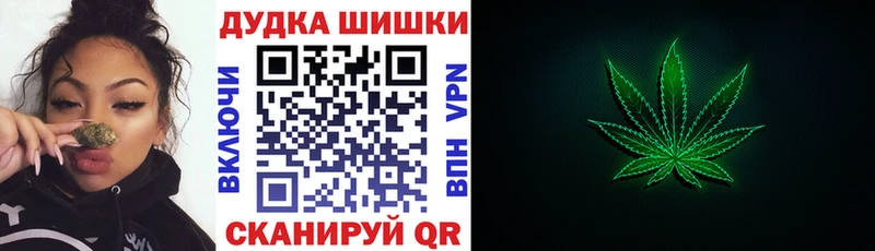Купить Кизилюрт Каннабис Bruce Banner